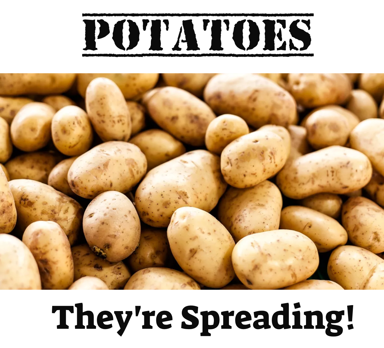 potatoes